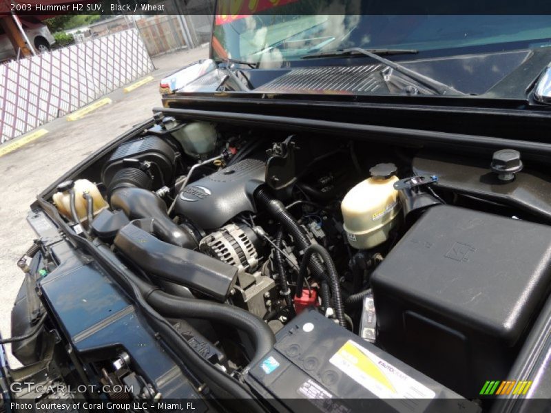 Black / Wheat 2003 Hummer H2 SUV