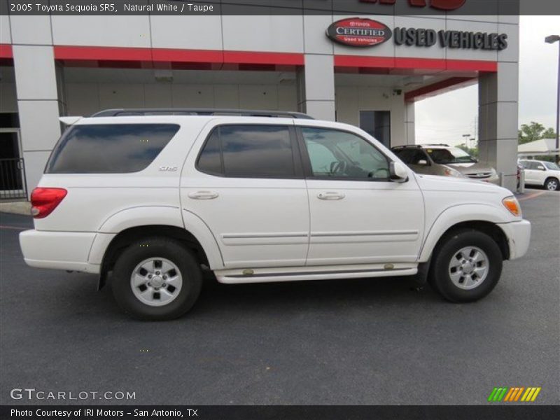 Natural White / Taupe 2005 Toyota Sequoia SR5