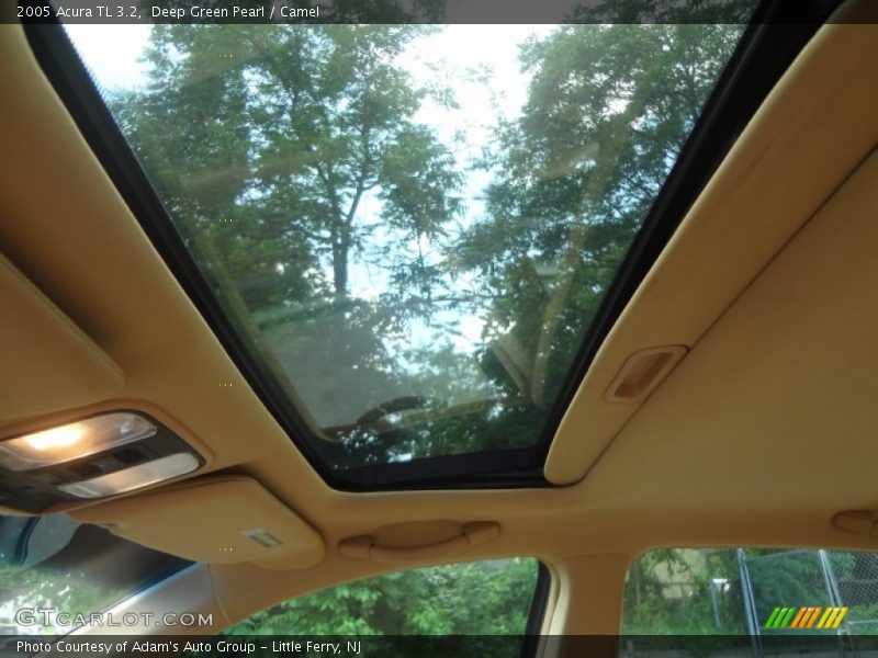 Deep Green Pearl / Camel 2005 Acura TL 3.2