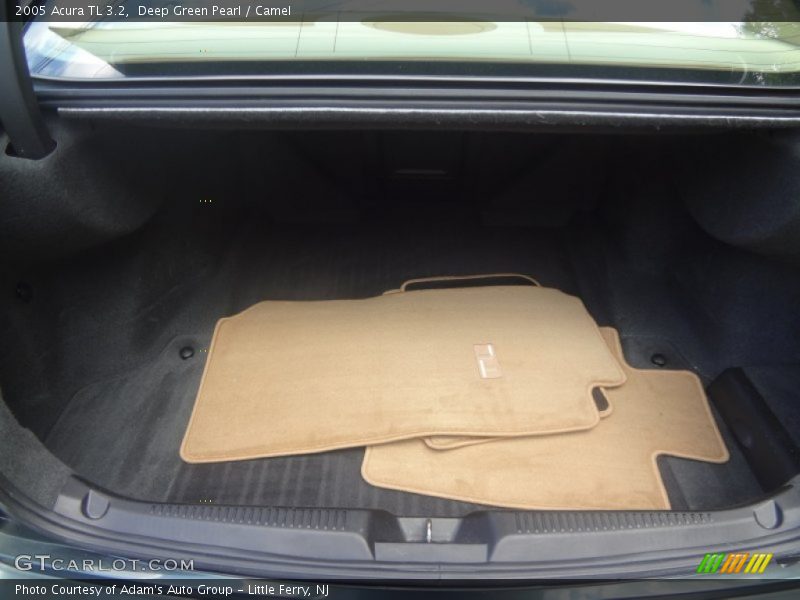 Deep Green Pearl / Camel 2005 Acura TL 3.2