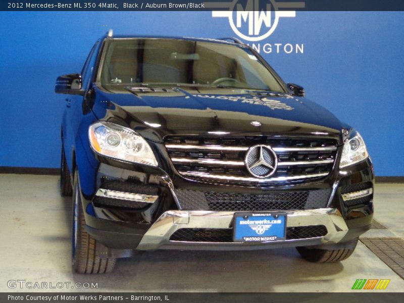 Black / Auburn Brown/Black 2012 Mercedes-Benz ML 350 4Matic