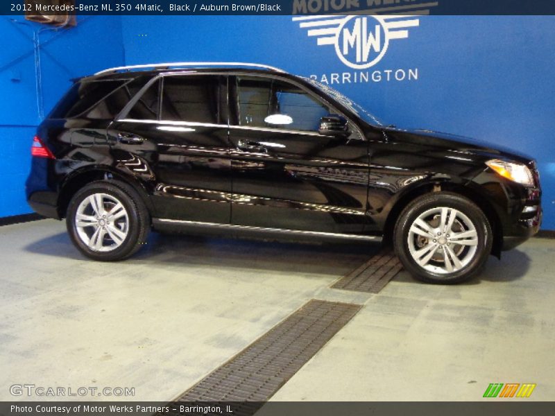 Black / Auburn Brown/Black 2012 Mercedes-Benz ML 350 4Matic