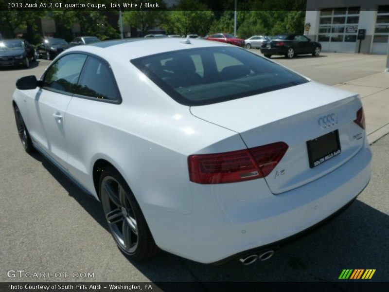 Ibis White / Black 2013 Audi A5 2.0T quattro Coupe