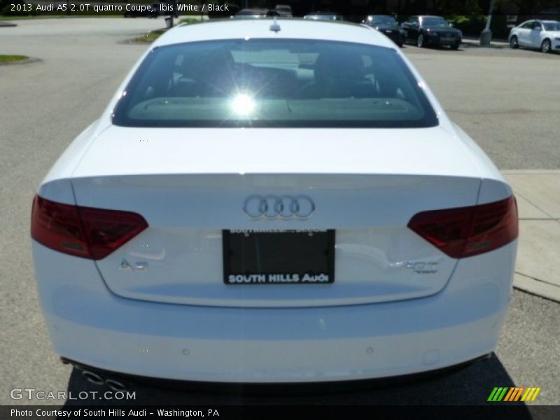 Ibis White / Black 2013 Audi A5 2.0T quattro Coupe