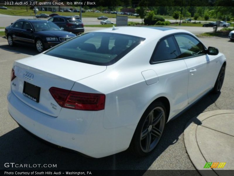 Ibis White / Black 2013 Audi A5 2.0T quattro Coupe