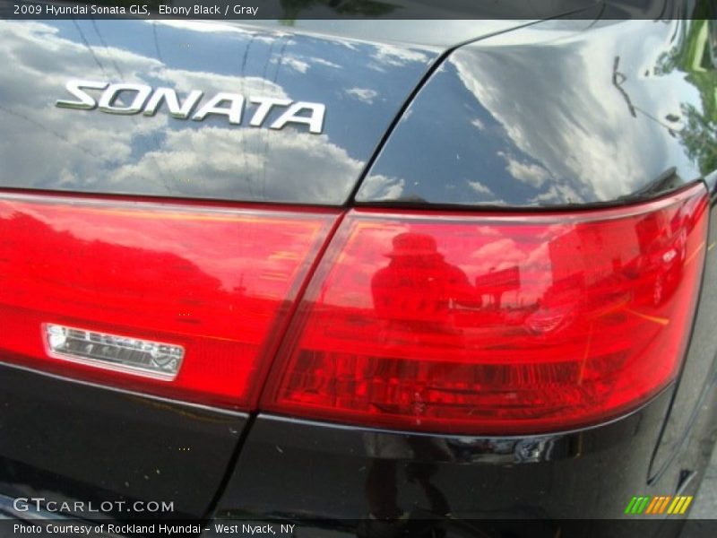 Ebony Black / Gray 2009 Hyundai Sonata GLS