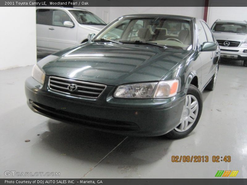 Woodland Pearl / Oak 2001 Toyota Camry LE