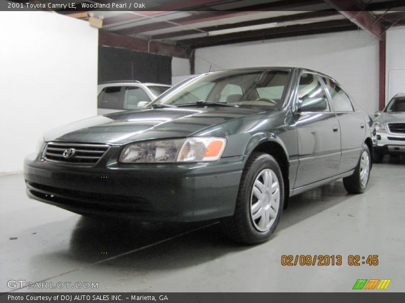 Woodland Pearl / Oak 2001 Toyota Camry LE