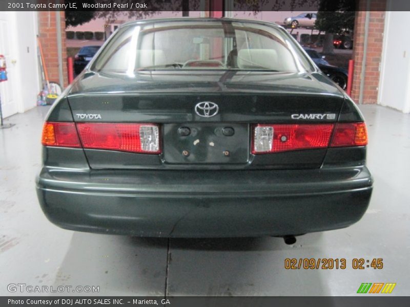 Woodland Pearl / Oak 2001 Toyota Camry LE