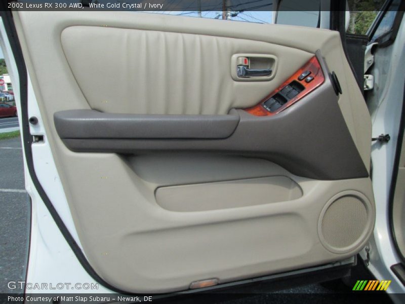 Door Panel of 2002 RX 300 AWD