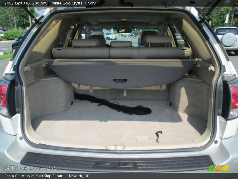  2002 RX 300 AWD Trunk