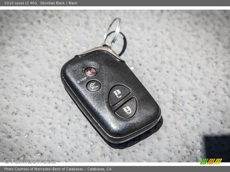 Obsidian Black / Black 2010 Lexus LS 460