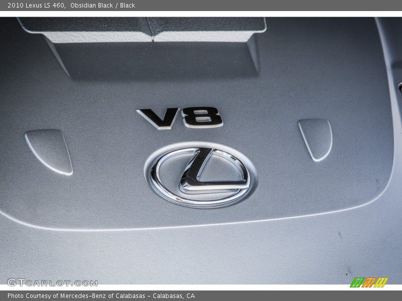 Obsidian Black / Black 2010 Lexus LS 460