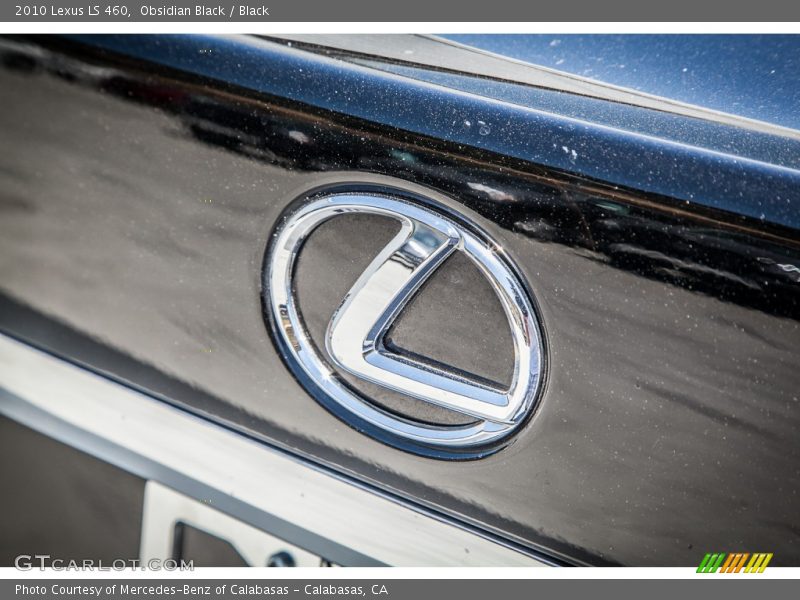 Obsidian Black / Black 2010 Lexus LS 460