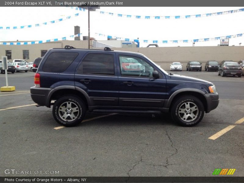 True Blue Metallic / Medium/Dark Flint 2004 Ford Escape XLT V6