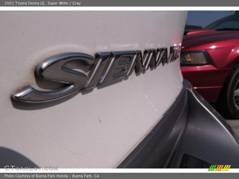 Super White / Gray 2001 Toyota Sienna LE