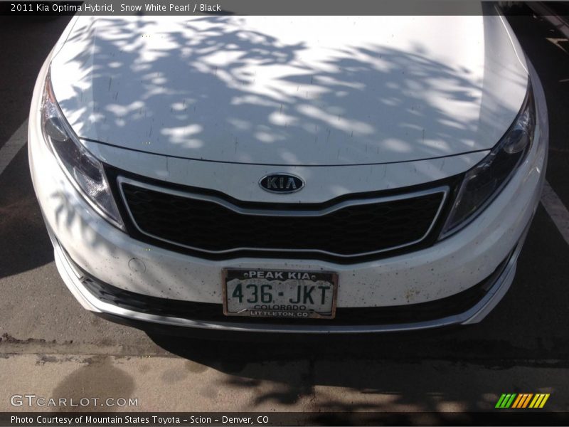 Snow White Pearl / Black 2011 Kia Optima Hybrid