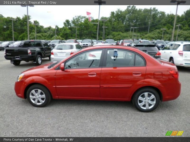 Tropical Red / Gray 2011 Kia Rio LX