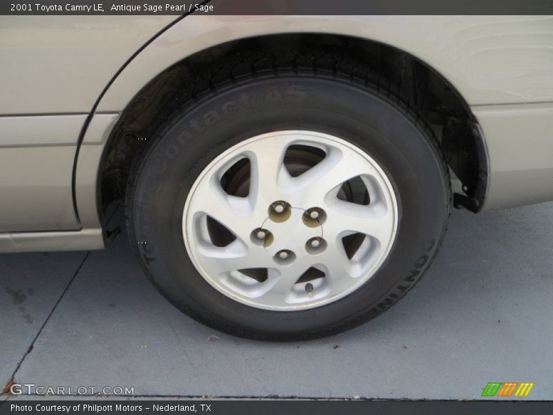 Antique Sage Pearl / Sage 2001 Toyota Camry LE