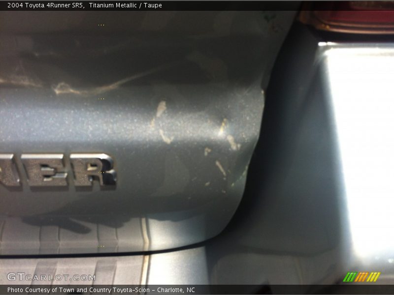 Titanium Metallic / Taupe 2004 Toyota 4Runner SR5