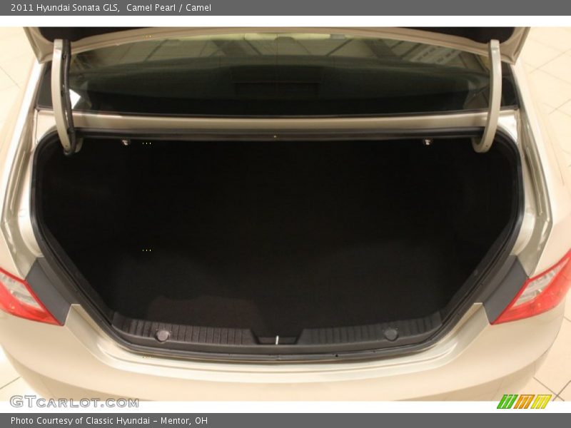 Camel Pearl / Camel 2011 Hyundai Sonata GLS