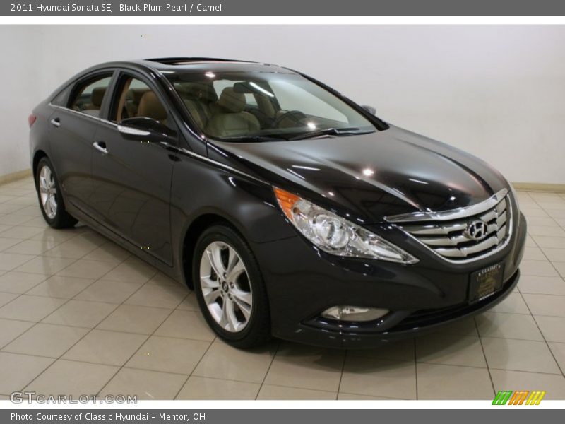 Black Plum Pearl / Camel 2011 Hyundai Sonata SE