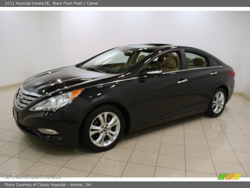 Black Plum Pearl / Camel 2011 Hyundai Sonata SE