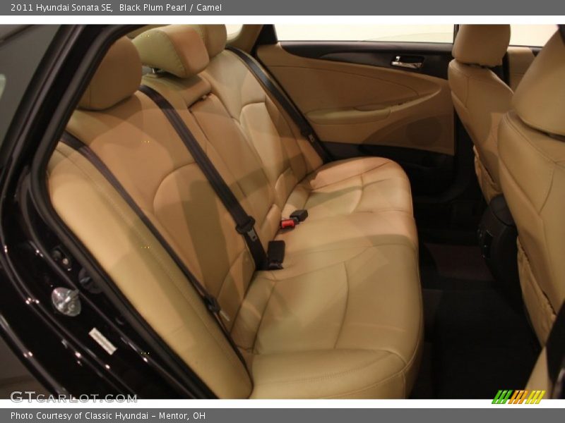 Black Plum Pearl / Camel 2011 Hyundai Sonata SE
