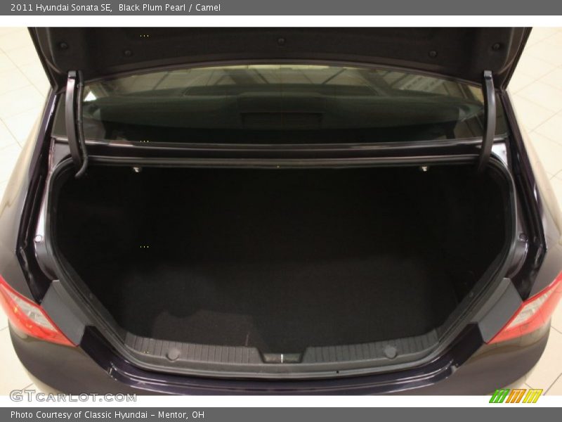 Black Plum Pearl / Camel 2011 Hyundai Sonata SE