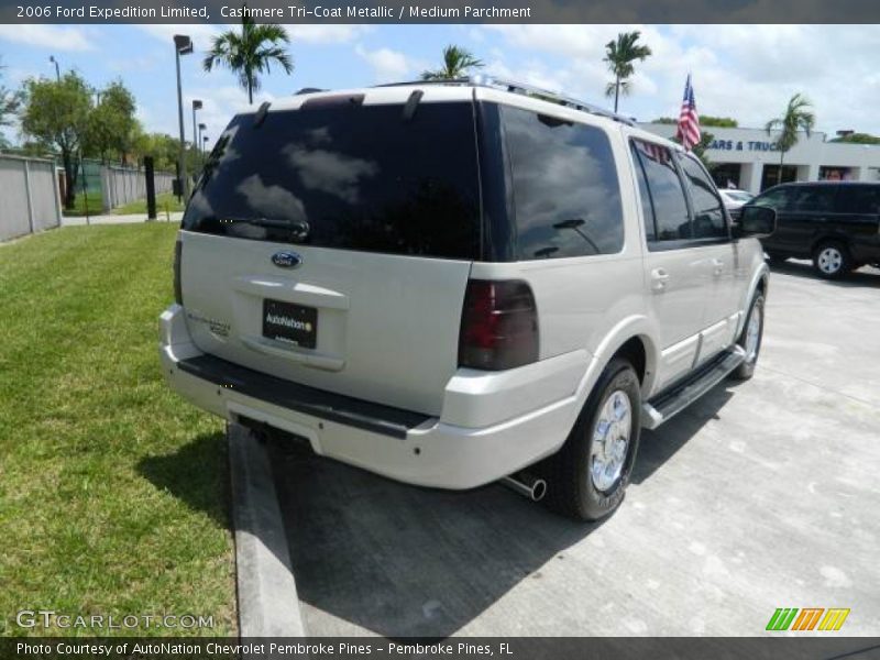 Cashmere Tri-Coat Metallic / Medium Parchment 2006 Ford Expedition Limited