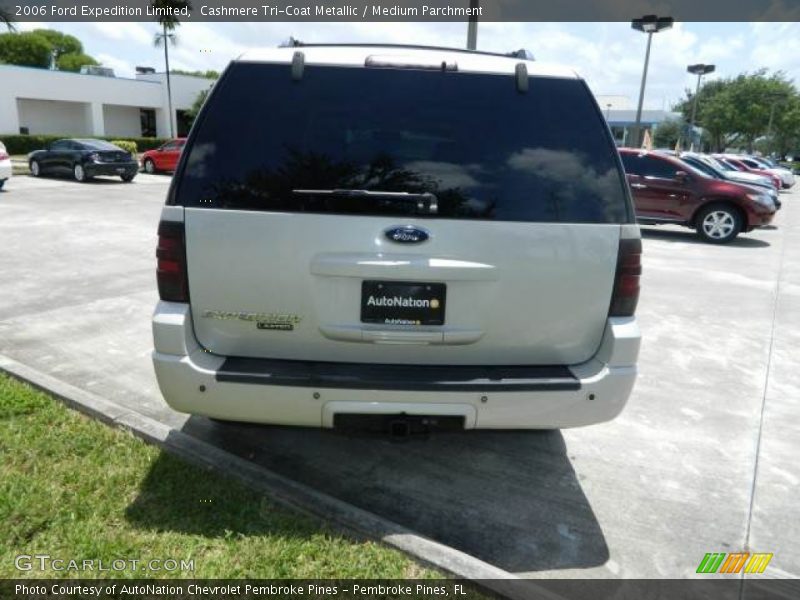 Cashmere Tri-Coat Metallic / Medium Parchment 2006 Ford Expedition Limited