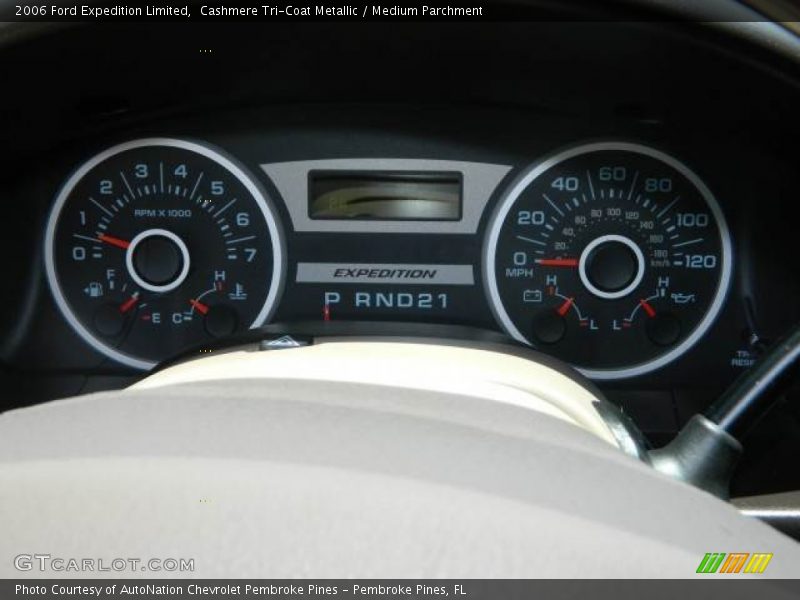 Cashmere Tri-Coat Metallic / Medium Parchment 2006 Ford Expedition Limited