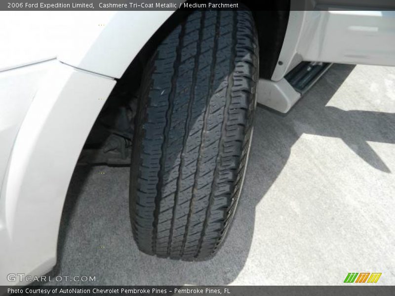 Cashmere Tri-Coat Metallic / Medium Parchment 2006 Ford Expedition Limited