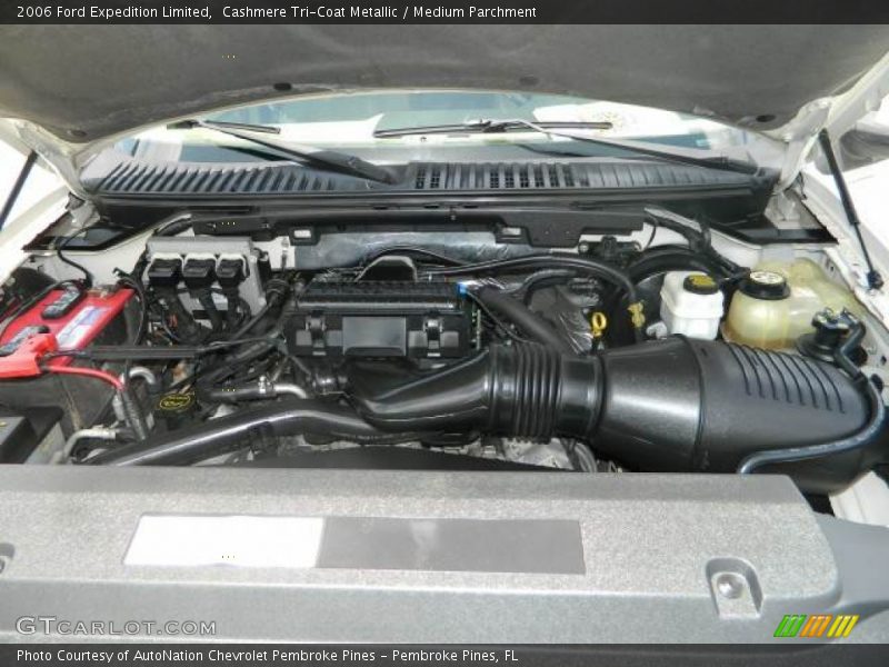 Cashmere Tri-Coat Metallic / Medium Parchment 2006 Ford Expedition Limited