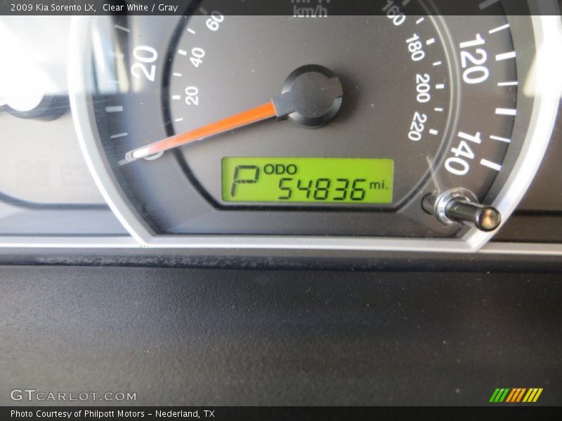 Clear White / Gray 2009 Kia Sorento LX
