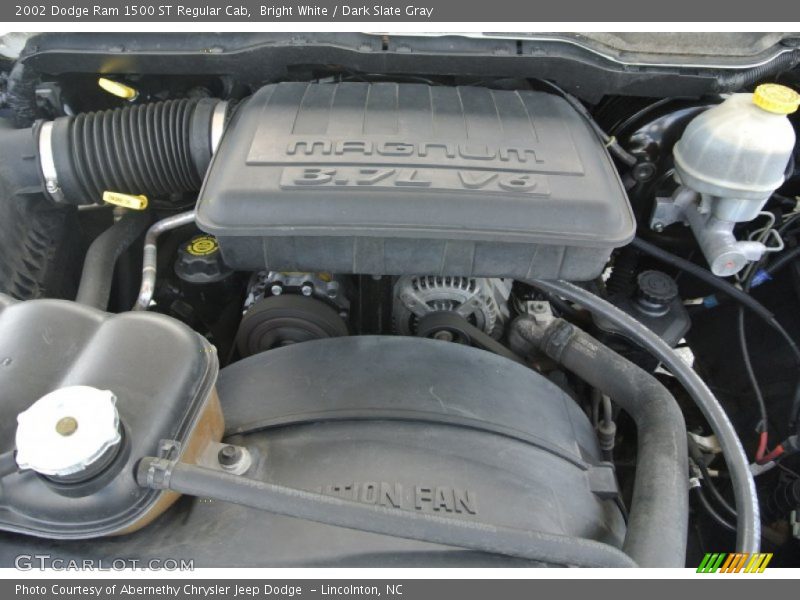 Bright White / Dark Slate Gray 2002 Dodge Ram 1500 ST Regular Cab