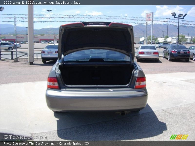 Antique Sage Pearl / Sage 2000 Lexus ES 300 Sedan