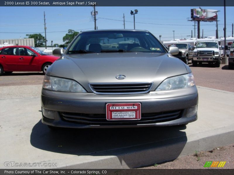 Antique Sage Pearl / Sage 2000 Lexus ES 300 Sedan