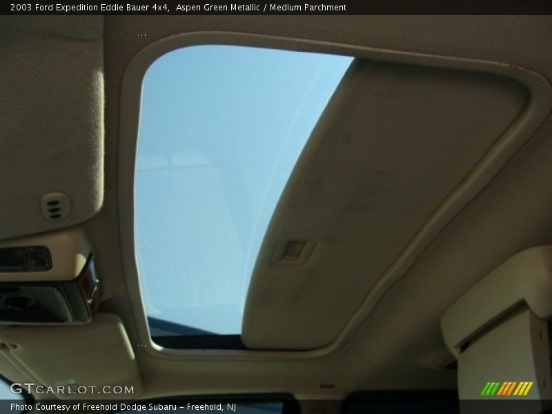 Aspen Green Metallic / Medium Parchment 2003 Ford Expedition Eddie Bauer 4x4