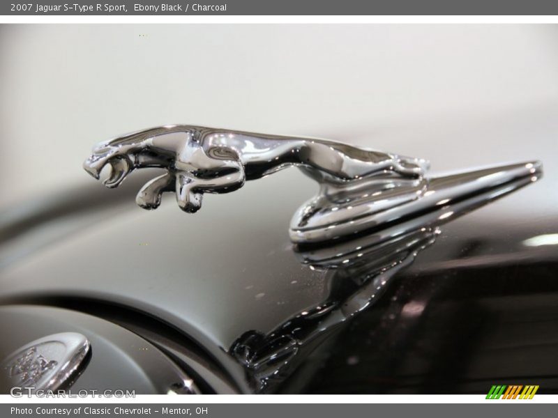 Leaping Cat - 2007 Jaguar S-Type R Sport