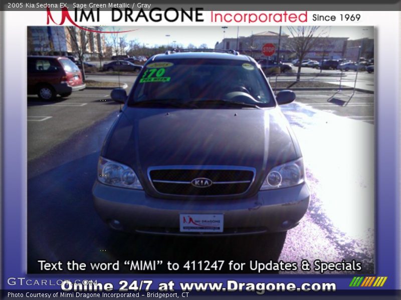 Sage Green Metallic / Gray 2005 Kia Sedona EX