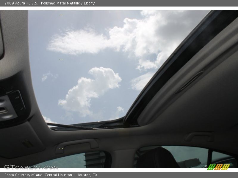 Polished Metal Metallic / Ebony 2009 Acura TL 3.5