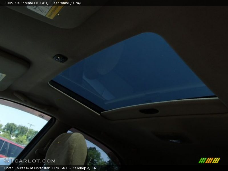 Clear White / Gray 2005 Kia Sorento LX 4WD