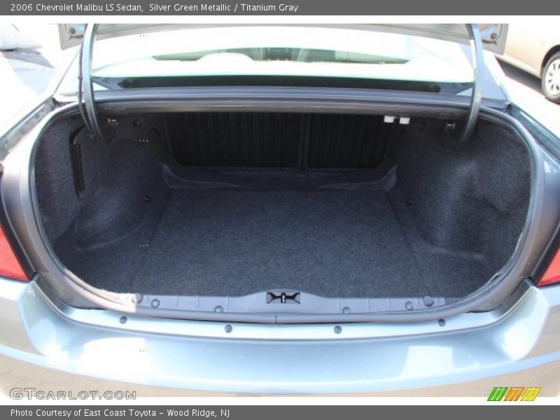 Silver Green Metallic / Titanium Gray 2006 Chevrolet Malibu LS Sedan