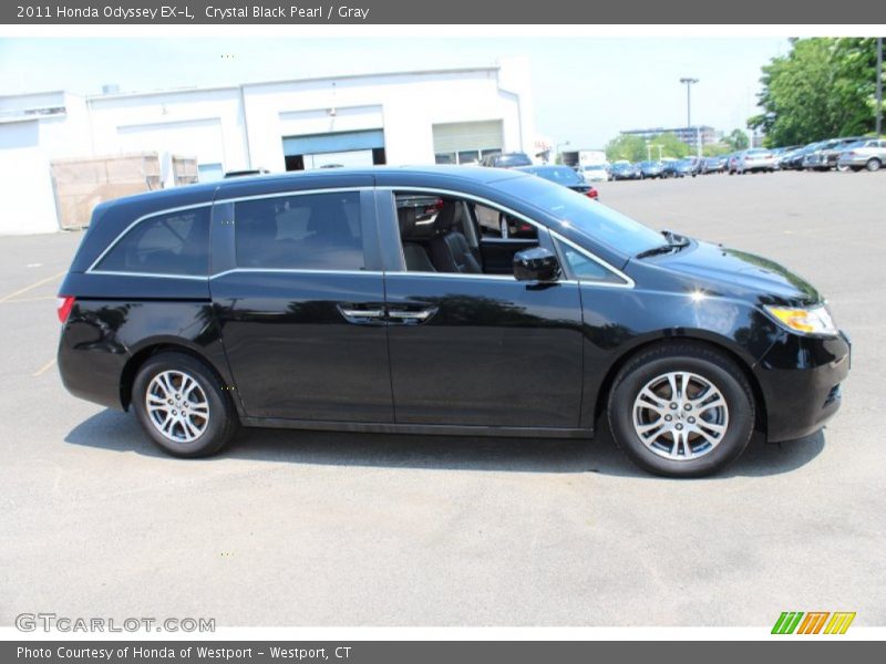 Crystal Black Pearl / Gray 2011 Honda Odyssey EX-L