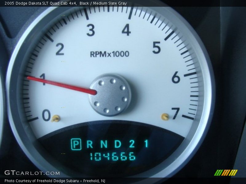 Black / Medium Slate Gray 2005 Dodge Dakota SLT Quad Cab 4x4