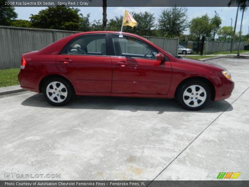 Spicy Red / Gray 2008 Kia Spectra EX Sedan