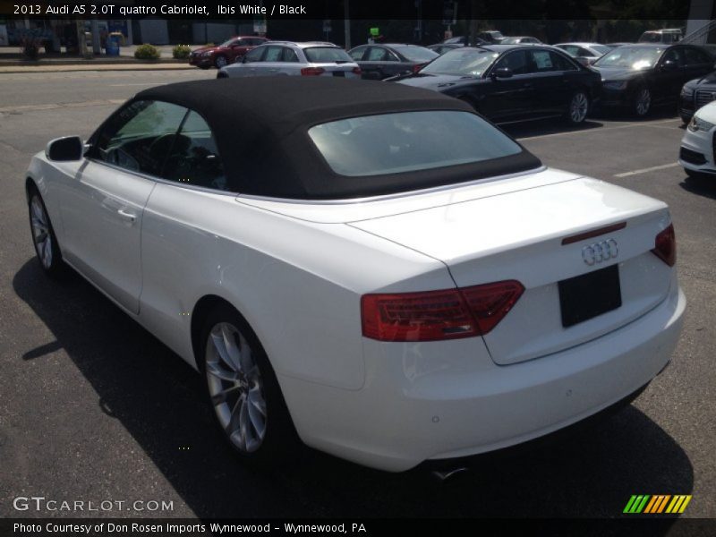 Ibis White / Black 2013 Audi A5 2.0T quattro Cabriolet
