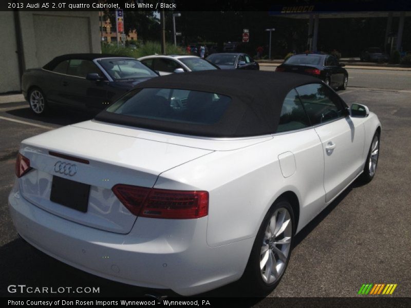 Ibis White / Black 2013 Audi A5 2.0T quattro Cabriolet