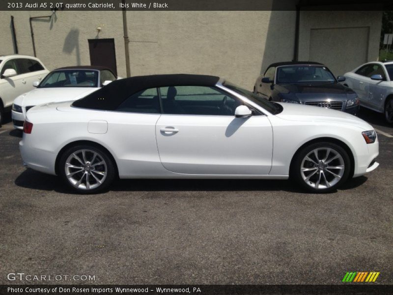 Ibis White / Black 2013 Audi A5 2.0T quattro Cabriolet